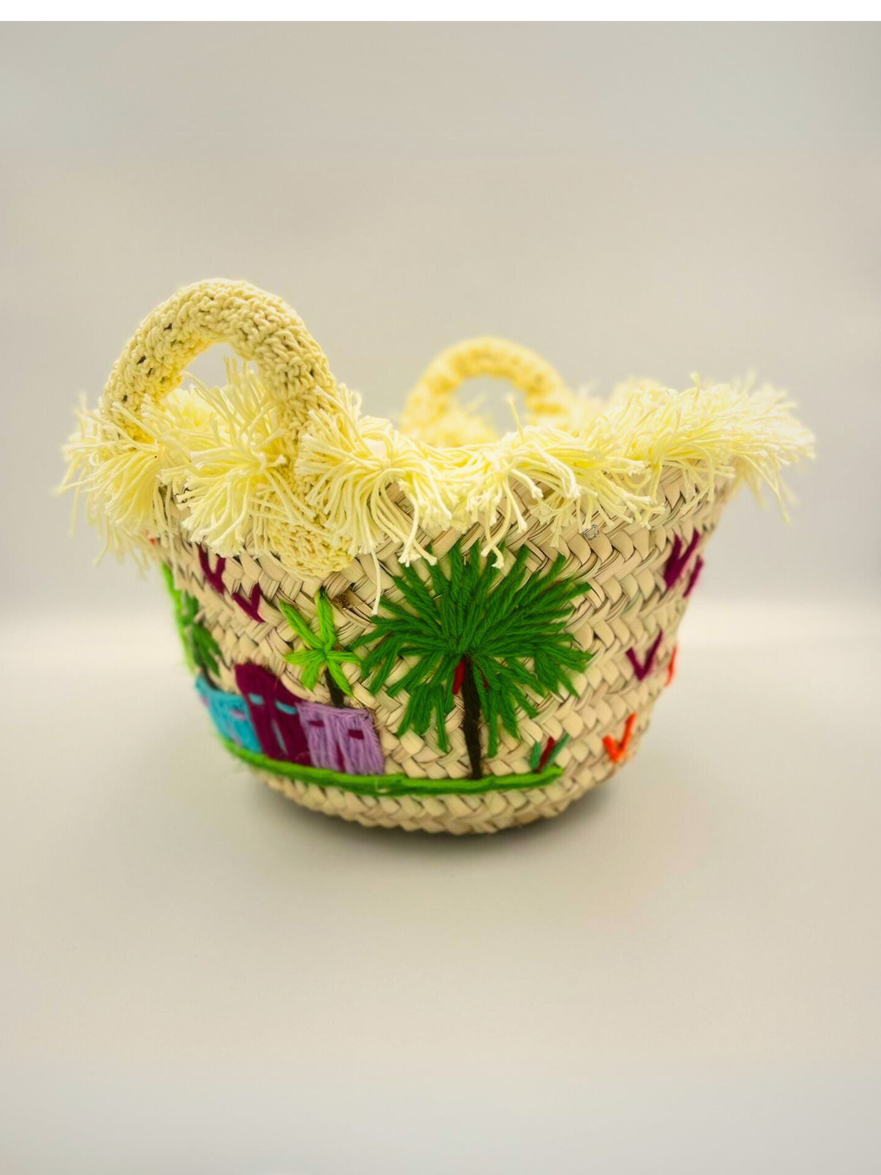 Small Palm Basket Bag